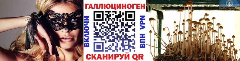 Галлюциногенные грибы мицелий  купить   Поронайск 